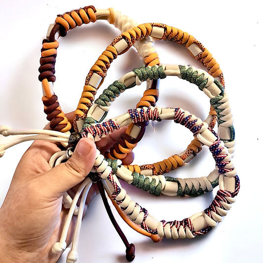 🐛 Collier anti tiques 🐛