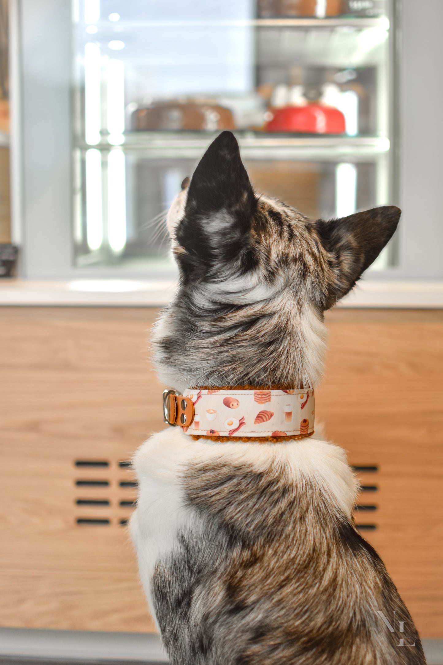 Le Pawtisserie