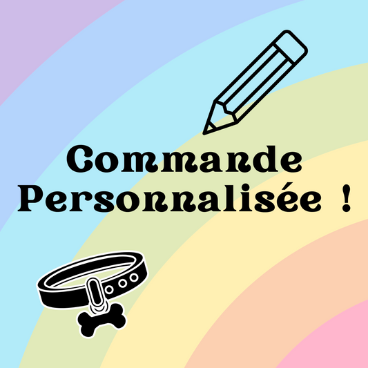 Commande de Aria