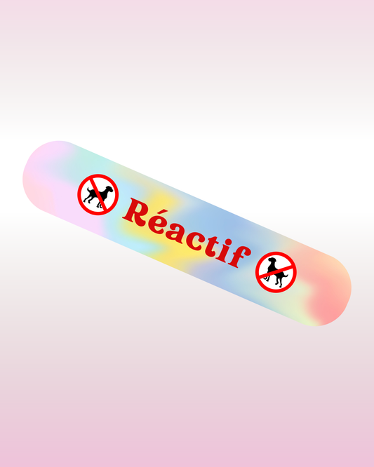 Le Wooftag dégradé multicolore